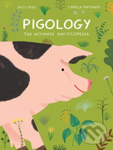 Levně Pigology (The Ultimate Encyclopedia) - Daisy Bird - kniha z kategorie Naučné knihy
