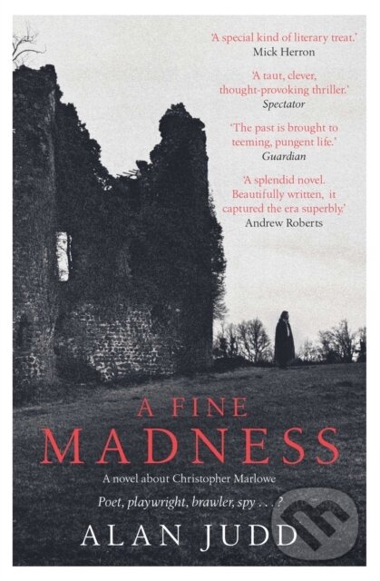 Kniha Fine Madness