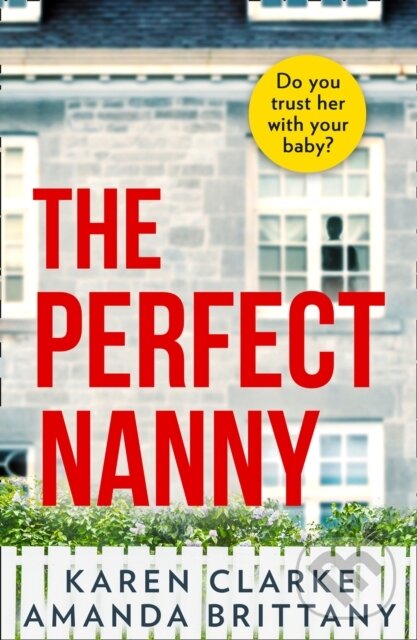 Kniha Perfect Nanny