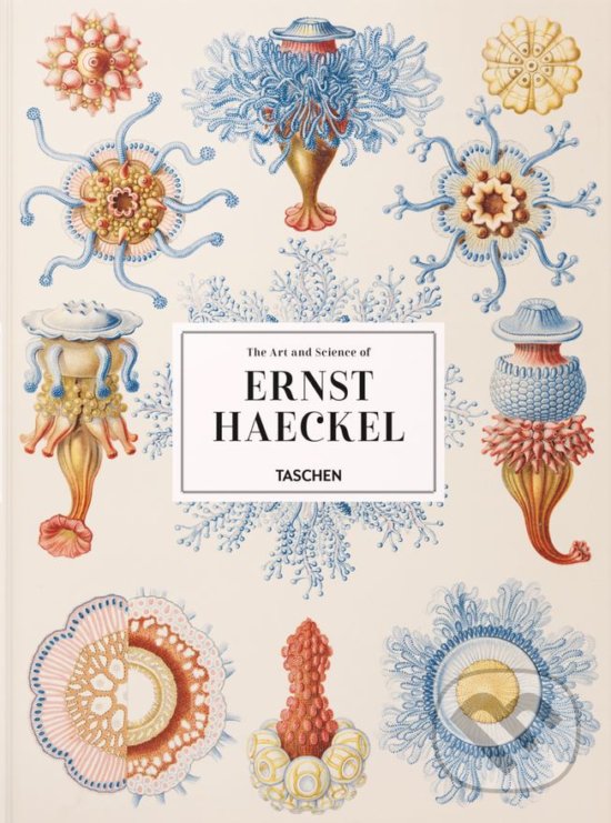 Levně The Art and Science of Ernst Haeckel - Rainer Willmann, Julia Voss - kniha z kategorie Prírodné vedy a technika