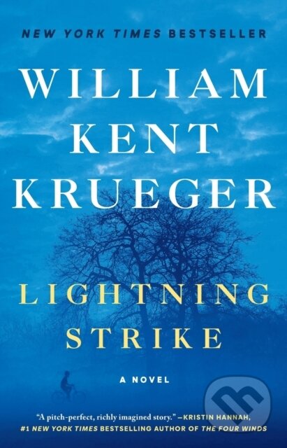 Kniha Lightning Strike