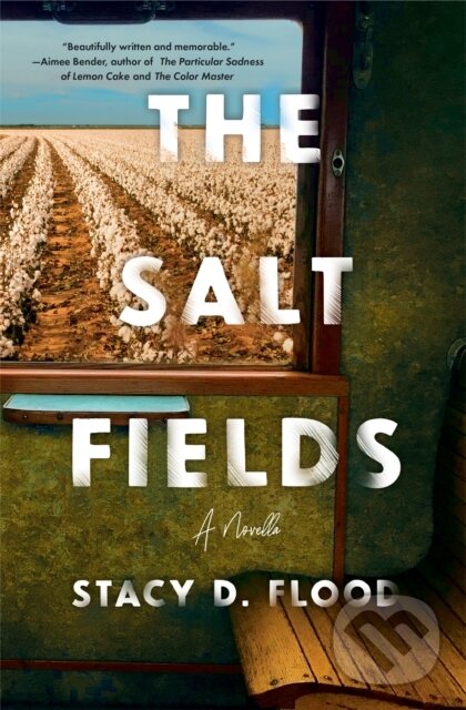 Levně The Salt Fields - Stacy Flood - kniha z kategorie Spoločenská beletria