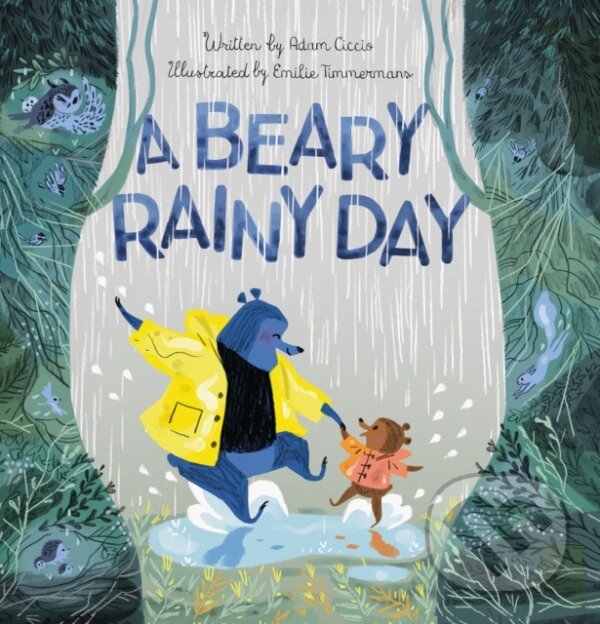 Kniha A Beary Rainy Day