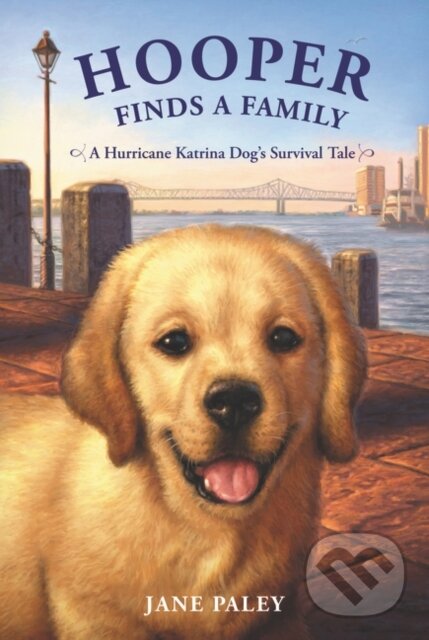 Kniha Hooper Finds a Family