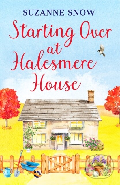 Levně Starting Over at Halesmere House - Suzanne Snow - kniha z kategorie Vzťahy a rodina