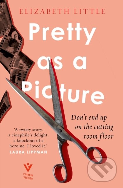 Levně Pretty as a Picture - Elizabeth Little - kniha z kategorie Detektívky, trilery a horory