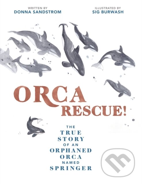 Kniha Orca Rescue!
