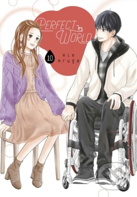 Kniha Perfect World 10