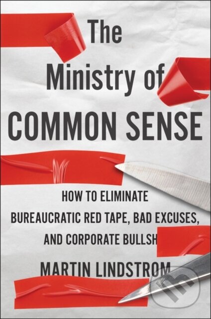 Kniha Ministry Of Common Sense