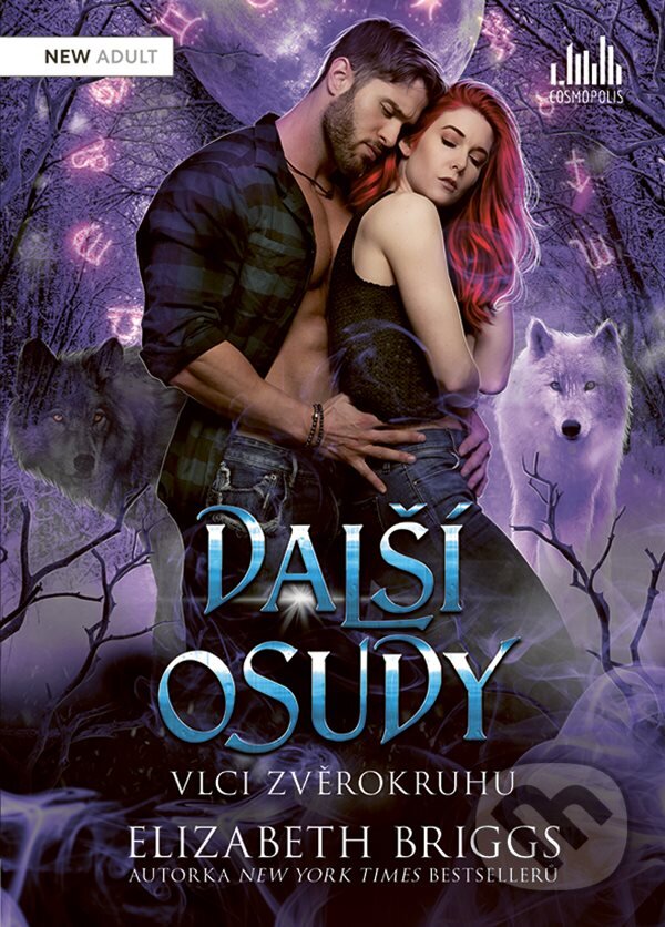 Kniha: Další osudy (Elizabeth Briggs)