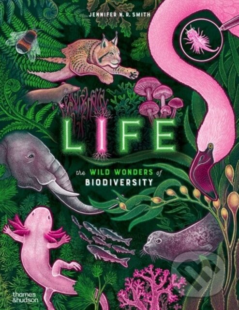 Levně Life : The wild wonders of biodiversity - Jennifer N. R. Smith - kniha z kategorie Encyklopédie
