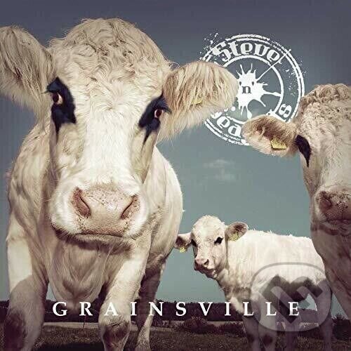 Kniha Steve N Seagulls: Grainsville LP