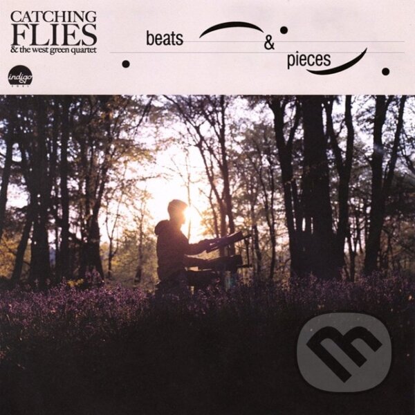 Kniha Catching Flies: Beats & Pieces LP
