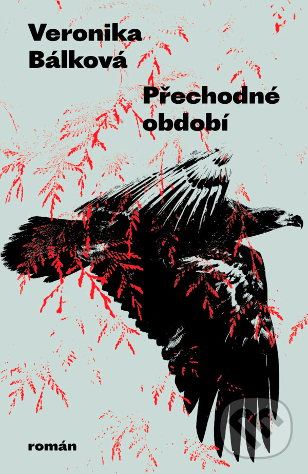 E-kniha: Přechodné období (MUDr. Veronika Bálková). Paseka, 2025