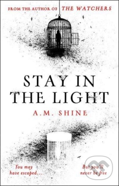 Levně Stay in the Light - A.M. Shine - kniha z kategorie Beletria
