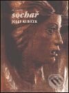 Levně Sochař Josef Kubíček - Jiří Hlušička - kniha z kategorie Maliarstvo a sochárstvo