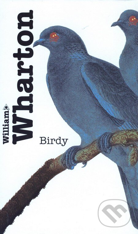Levně Birdy - William Wharton - kniha z kategorie Beletria