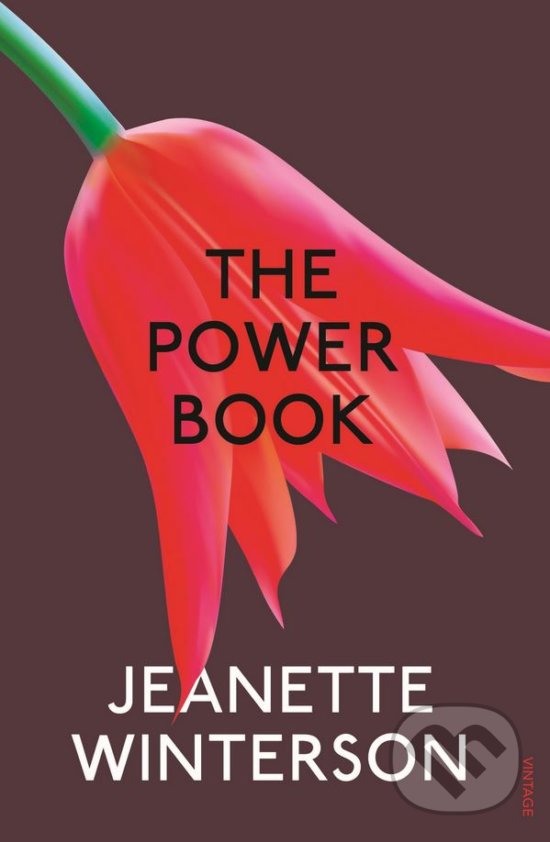 Levně The Powerbook - Jeanette Winterson - kniha z kategorie Beletria