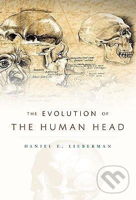 Kniha: Evolution of the Human Head (Daniel E. Lieberman). Harvard University Press, 2011