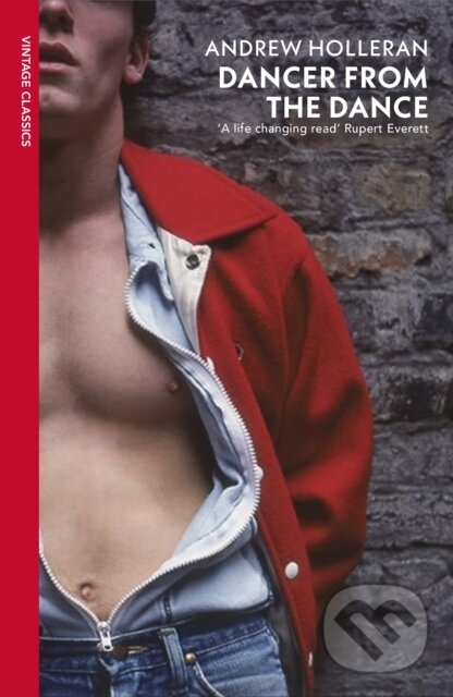 Kniha: Dancer from the Dance (Andrew Holleran)