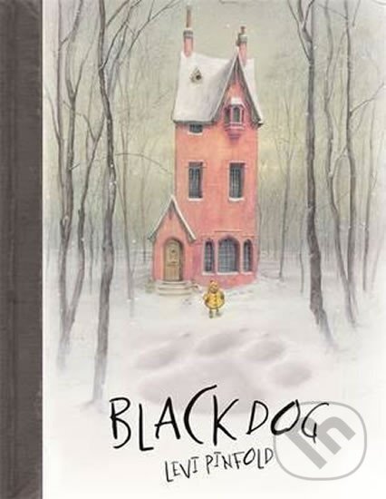 Kniha Black Dog