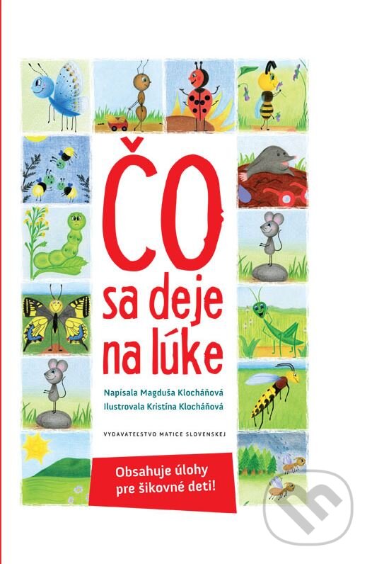 Levně Čo sa deje na lúke (Obsahuje úlohy pre šikovné deti) - kniha z kategorie Hádanky a riekanky