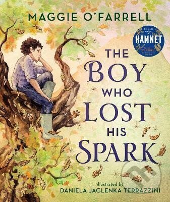 Boy Who Lost His Spark koupíte na Martinus.cz