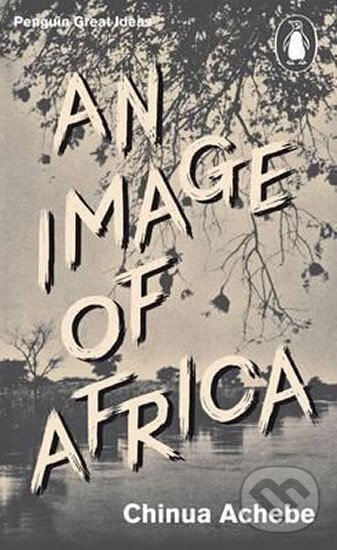 Kniha Image of Africa