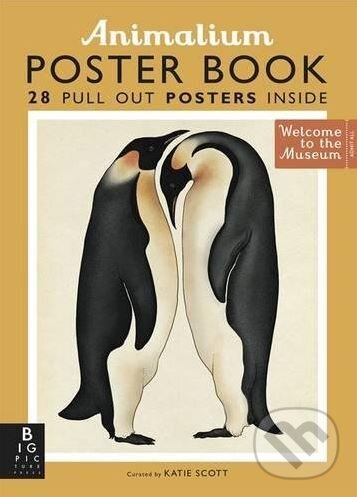 Animalium Poster Book - Suzanna Davidson, Katie Scott (ilustrácie), Big Picture, 2015