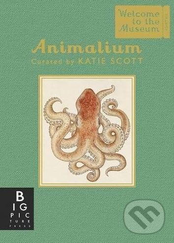 Levně Animalium - Jenny Broom, Katie Scott (ilustrácie) - kniha z kategorie Chov zvierat