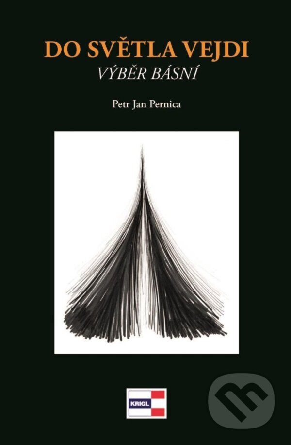 Levně Do světla vejdi - Jan Petr Pernica - kniha z kategorie Poézia