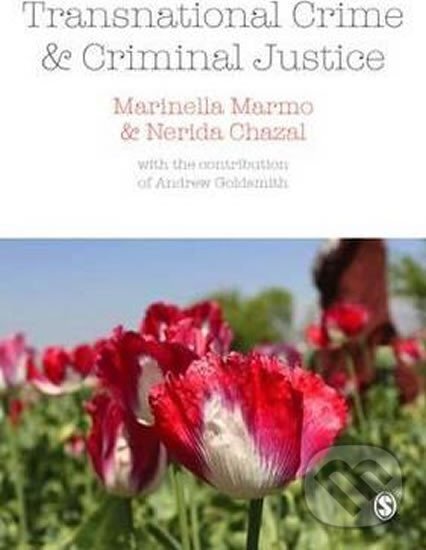 Levně Transnational Crime and Criminal Justice - autorů kolektiv