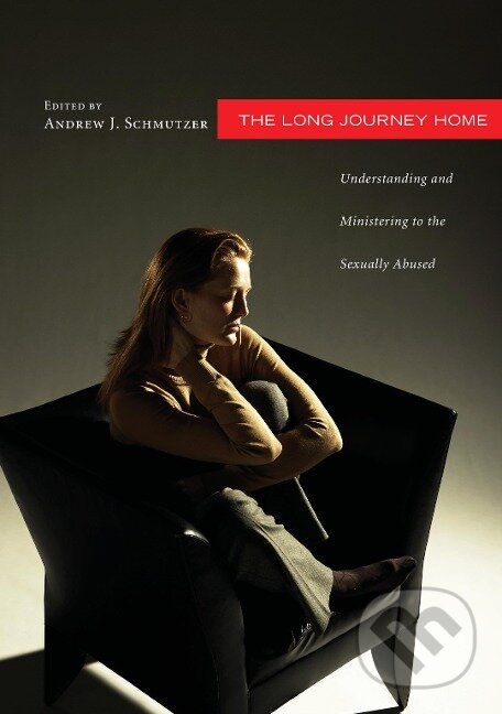 Kniha: LONG JOURNEY HOME (Andrew J. Schmutzer). Wipf and Stock, 2011