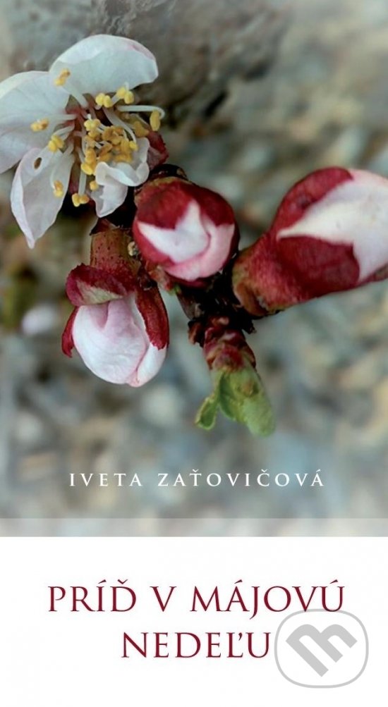 Levně Príď v májovú nedeľu - Iveta Zaťovičová - kniha z kategorie Beletria