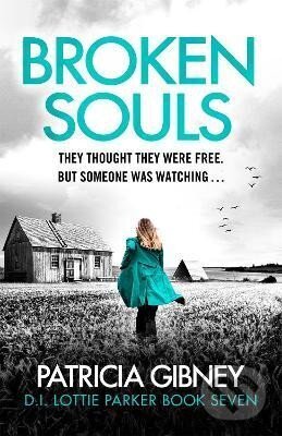 Levně Broken Souls: An absolutely addictive mystery thriller with a brilliant twist