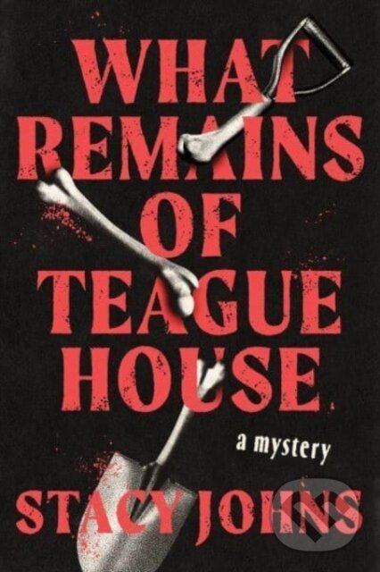 Levně What Remains of Teague House (A Mystery) - Stacy Johns - kniha z kategorie Beletria