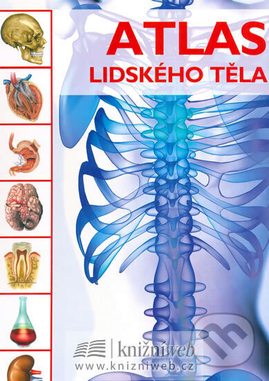 Kniha: Atlas lidského těla (Autorský kolektív). Rebo, 2007