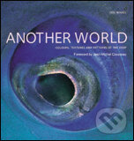Kniha: Another World (Slovart). Slovart