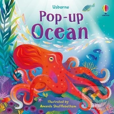 Levně Pop-up Ocean - Lizzie Cope