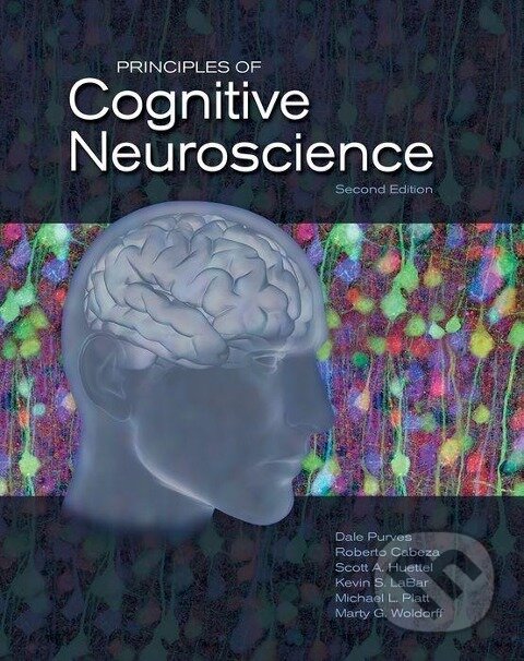 Kniha: Principles of Cognitive Neuroscience (Dale Purves)
