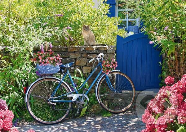 Country outing by Bike
