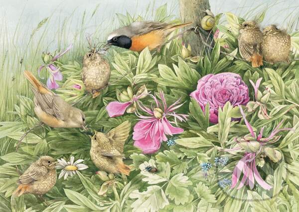 Levně Feast in the Meadow - Marjolein Bastin - puzzle z kategorie Umelecké