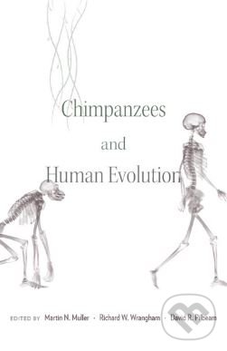 Levně Chimpanzees and Human Evolution - Martin N. Muller - kniha z kategorie Prírodné vedy a technika