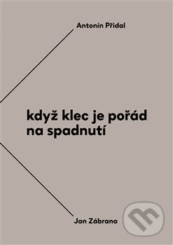 Levně Když klec je pořád na spadnutí - Antonín Přidal, Jan Zábrana - kniha z kategorie Rozhovory