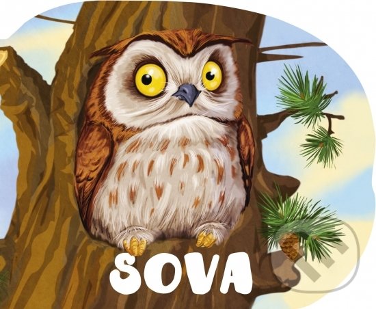 Sova, Georg, 2018