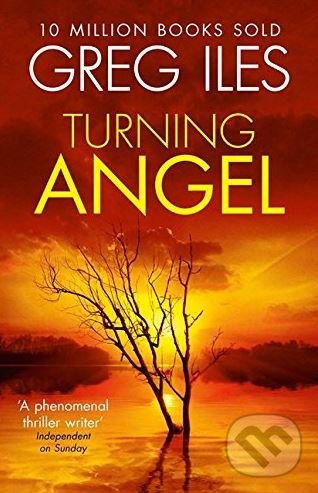 Levně Turning Angel - Greg Iles - kniha z kategorie Thrillery