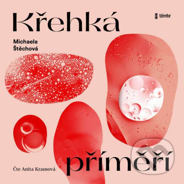 Audiokniha: Křehká příměří (Michaela Štěchová)