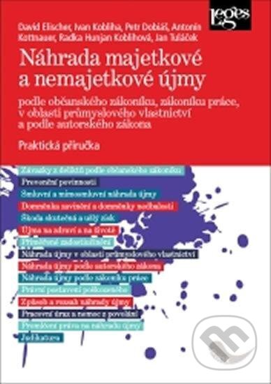 Levně Náhrada majetkové a nemajetkové újmy podle občanského zákoníku, zákoníku práce, v oblasti průmyslového vlastnictví a podle autorského zákona - kniha…