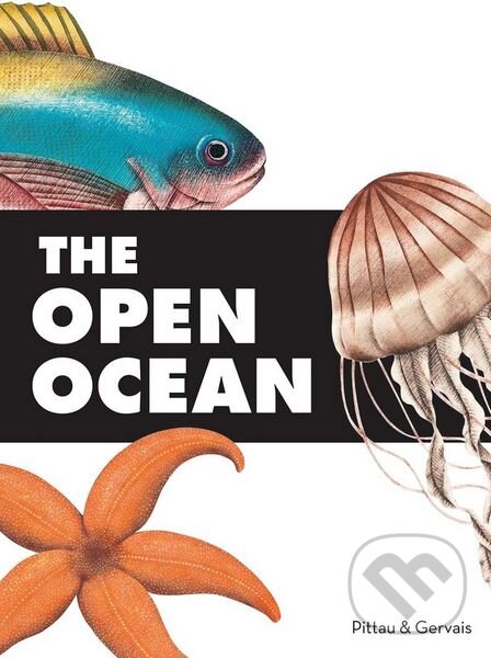 Levně The Open Ocean - Francesco Pittau, Bernadette Gervais - kniha z kategorie Naučné knihy
