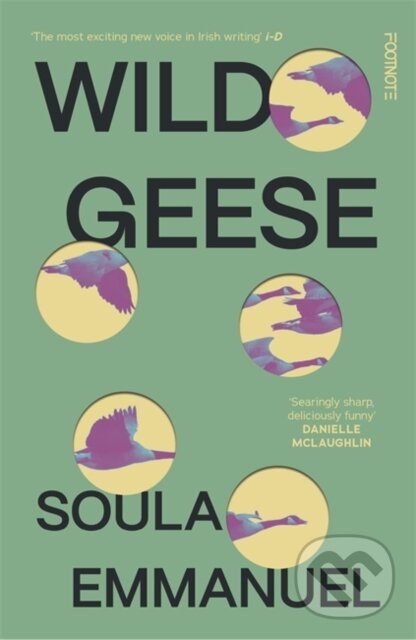 Levně Wild Geese (the LAMBDA and GORDON BOWKER VOLCANO PRIZE winner) - kniha z kategorie Spoločenská beletria